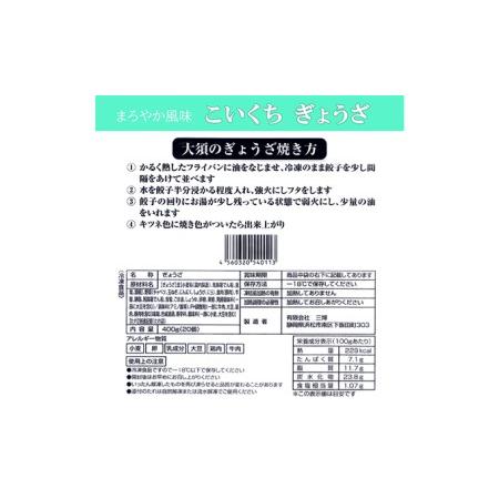 ふるさと納税 浜松餃子 大須のぎょうざ［ 浜松ぎょうざ まろやか風味＜ こいくち味 ＞］×5袋（1袋20個入、合計100個） 静岡県浜松市