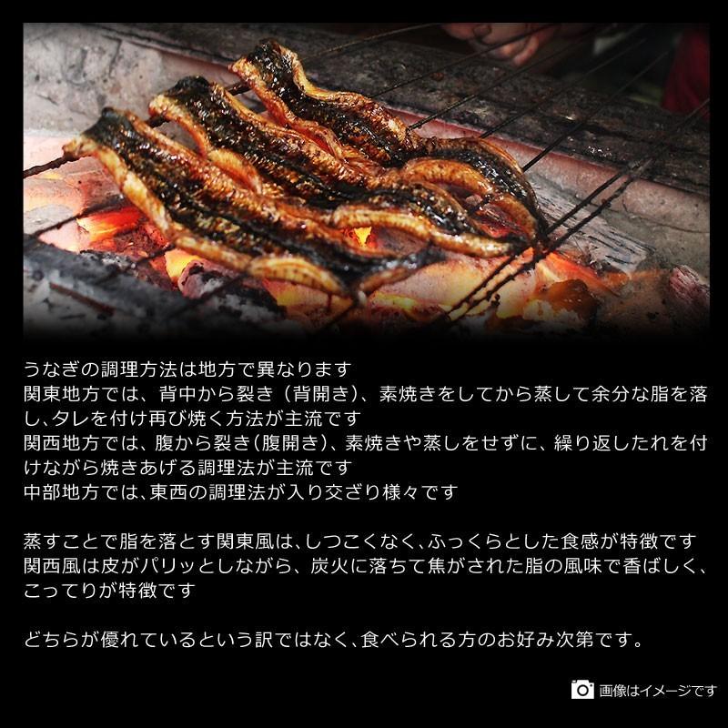 ギフト うなぎ 蒲焼き 国産 鰻 うなぎ蒲焼き 九州産 3尾 特大(約180〜200g前後×3尾)宮崎・鹿児島県産 送料無料