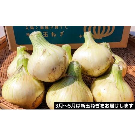 ふるさと納税 淡路島産玉ねぎ 定期便　3kg×10回（発送3月〜12月） 兵庫県南あわじ市