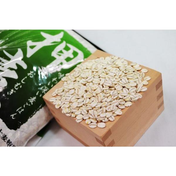 麦ごはんお買い得１０個セット　押麦1kg×4 米粒麦1kg×3 ビタバァレー1kg×3