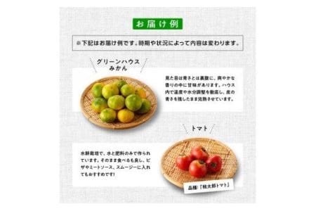 産直おすず村 季節の野菜と果物 厳選 詰め合わせセット（大） 全4回