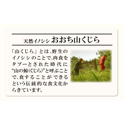 ふるさと納税 島根県 美郷町 猪肉と大豆のキーマカレー5缶セット【450g 90g×5缶 肉 イノシシ肉 加工食品 カレー キーマカレー 在来大豆 天然イノシシ 缶詰 簡…