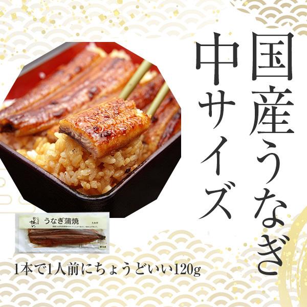 うなぎ 蒲焼き 国産 120g 2尾 ウナギ 鰻 送料無料