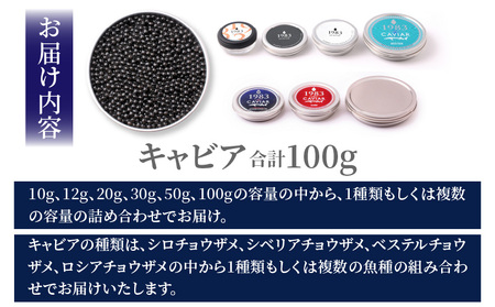 宮崎県産キャビア 詰め合わせ 合計100g 魚卵 キャビア