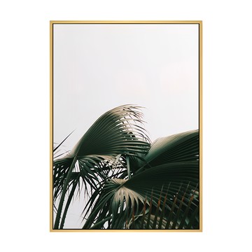 盛夏時分  綠色植物牆面裝飾畫  59.4 x 42cm  木色