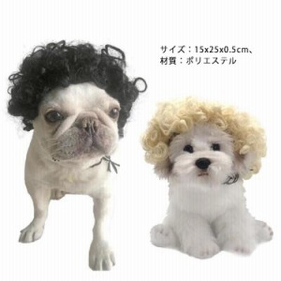 犬 猫用 かつら ウィッグ 面白い かわいい かっこいい コスチューム 猫 犬 ソフト 小型犬 中型犬 出掛け 散歩 パーマ 通販 Lineポイント最大1 0 Get Lineショッピング