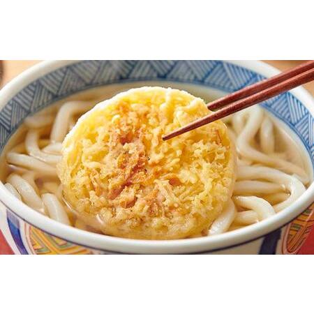 ふるさと納税 ゆで天ぷらうどん10食（1袋：麺180g×10食）讃岐の本格派具材付き！｜うどん ゆで麺 香川県坂出市