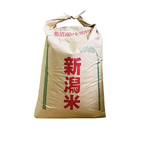 新米入荷しました！ 産地直送 令和５年度米 食味数値８５以上 新潟県魚沼産コシヒカリ 30kg 精米 日本有数の豪雪地帯で育った厳選されたコシヒカリで