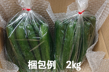 新鮮きゅうり2kg