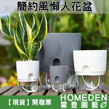【隔日到貨】簡約風懶人花盆 磨砂透明吸水盆 懶人花盆 透明花盆 棉繩自動吸水花盆 免澆水蓄水盆【HOMEDEN霍登園藝】