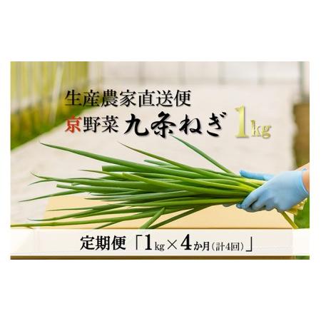 ふるさと納税 生産農家直送　京野菜・九条ねぎ  １kg×4回 京都府宇治田原町