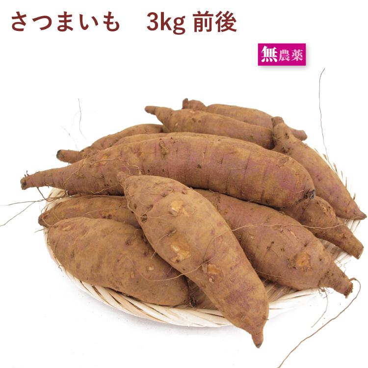 さつまいも　紅はるか　3kg前後　無農薬栽培　　送料込