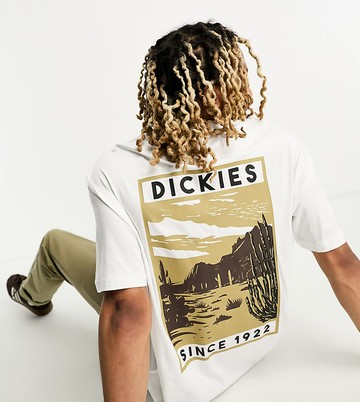 Dickies north plains mountain back print t-shirt in white-Multi