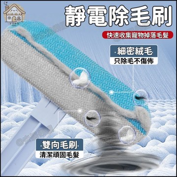 隔日達🏠多功能靜電除毛刷 寵物除毛器 寵物粘毛 除毛清潔專家 雙向刷毛貓條刷 高效地毯沙發除毛神器 貓毛清潔刷 除毛