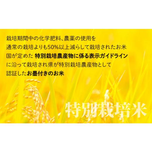 ふるさと納税 福井県 大野市 こしひかり 10kg × 6回 計 60kg減農薬・減化学肥料 「特別栽培米」−地球にやさしい…