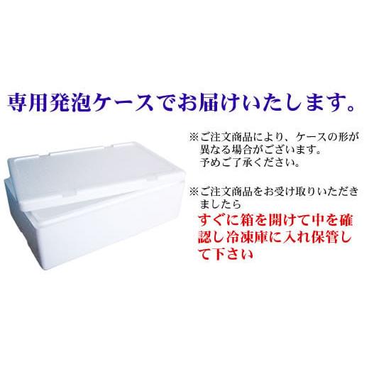 ふるさと納税 北海道 網走市 ＜網走産＞冷凍ホタテ貝柱 500g ABE005