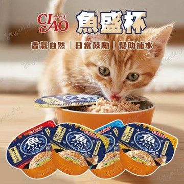 【米亞比寵物】CIAO 魚盛杯 貓罐頭 貓咪零食 貓咪點心 補水零食 魚肉零食 快速出貨 魚盛 貓零食 點心杯 泰製
