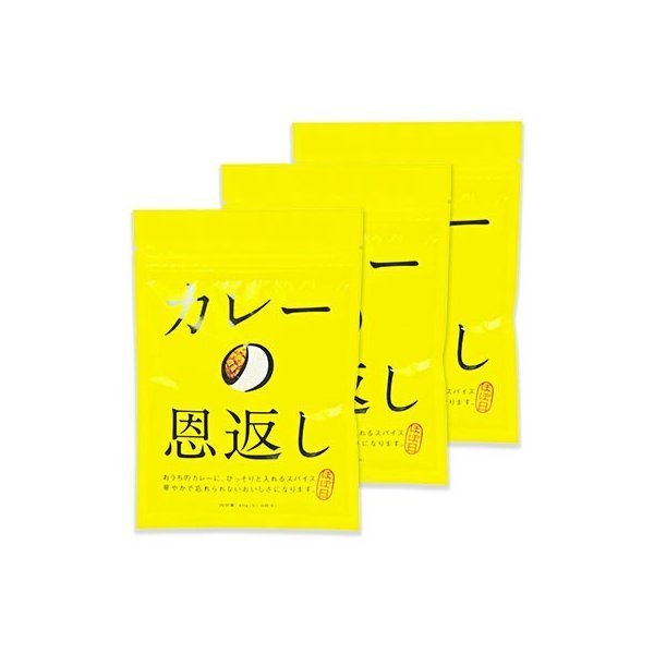 カレー スパイス ほぼ日 カレーの恩返し 40g × 3個 メール便で送料無料