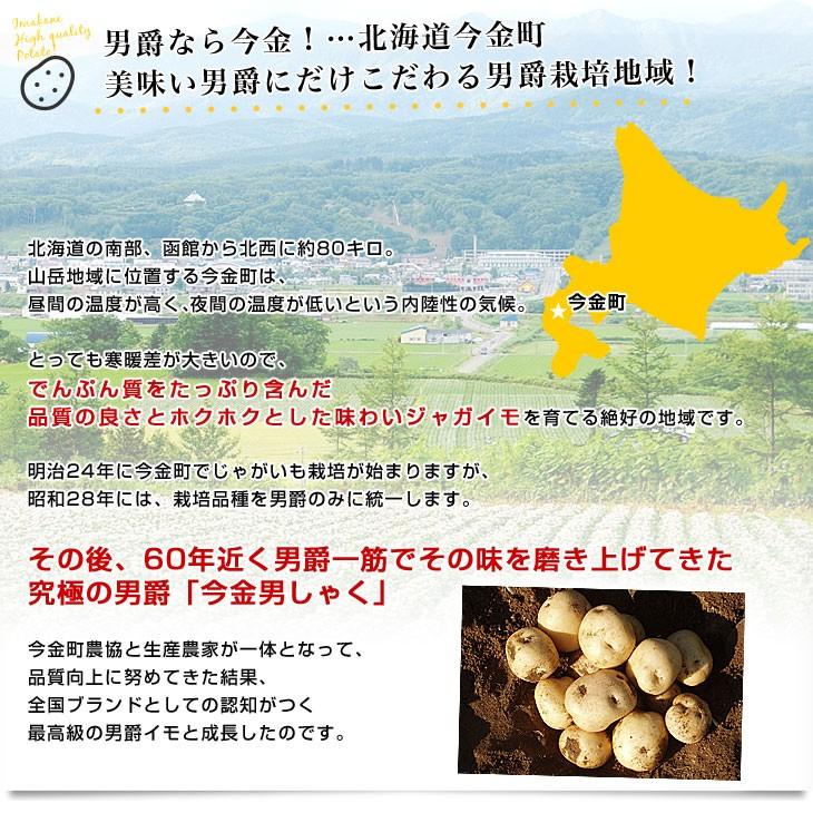 北海道産 JA今金町 じゃがいも 今金男爵 2Lサイズ 約10キロ(45玉前後入り)　送料無料 馬鈴薯 ジャガイモ 芋 男爵芋　市場発送