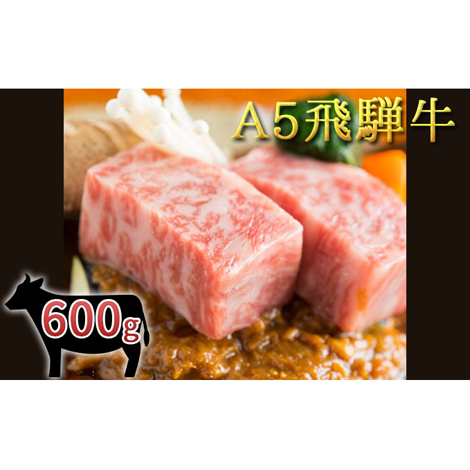 A5 飛騨牛モモステーキ 2枚 600g