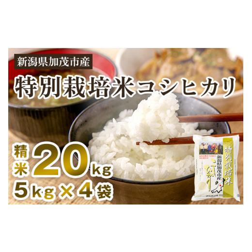 ふるさと納税 新潟県 加茂市 新潟県加茂市産 特別栽培米コシヒカリ 精米20kg（5kg×4）白米 従来品種コシヒカリ 加茂有機米生産組合