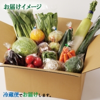 010B507 旬の野菜セット 詰め合わせ 10種類以上 国産 新鮮 お試し おまかせ お楽しみ