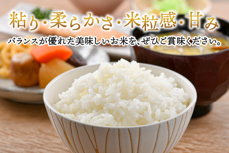 定期便6回 いちほまれ 精米 5kg×6回（計30kg）《お米マイスターが発送直前に精米！》 ／ 福井県産 ブランド米 ご飯 白米 新鮮