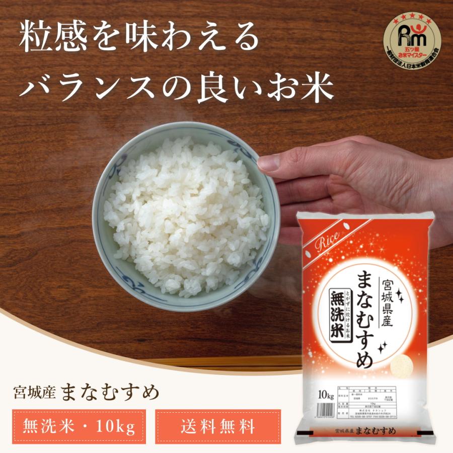 無洗米 新米 10kg 令和5年 宮城県産 まなむすめ 送料無料