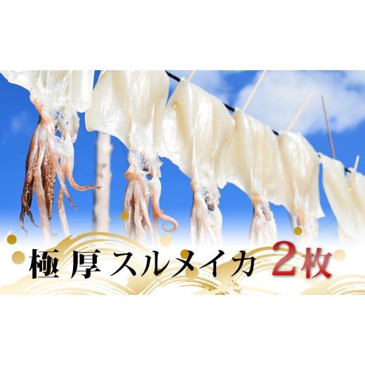 ふるさと納税 高知県 大月町 極厚スルメイカの一日干し 2枚