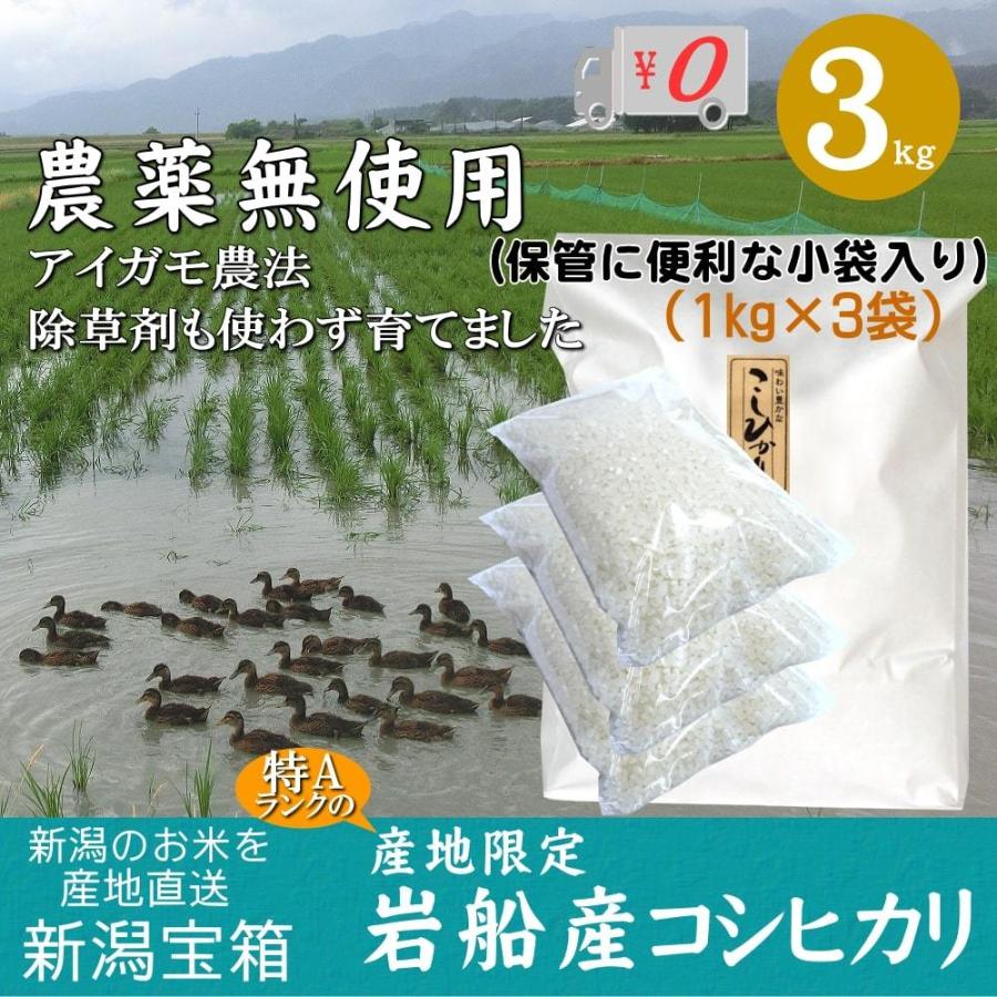 農薬無使用 米 新潟県岩船産コシヒカリ 1kg×3袋 3kg お米 白米 特A 送料無料