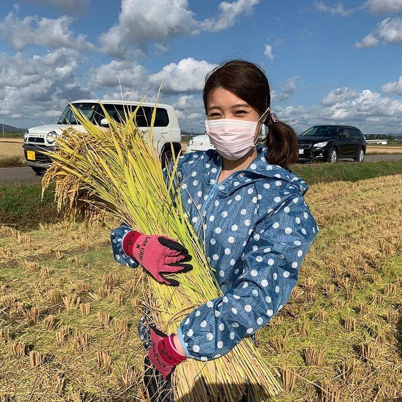 水菜土農園精米令和4年産 秋田県産 あきたこまち 20kg (5kg×4袋) 古代米お試し袋付き