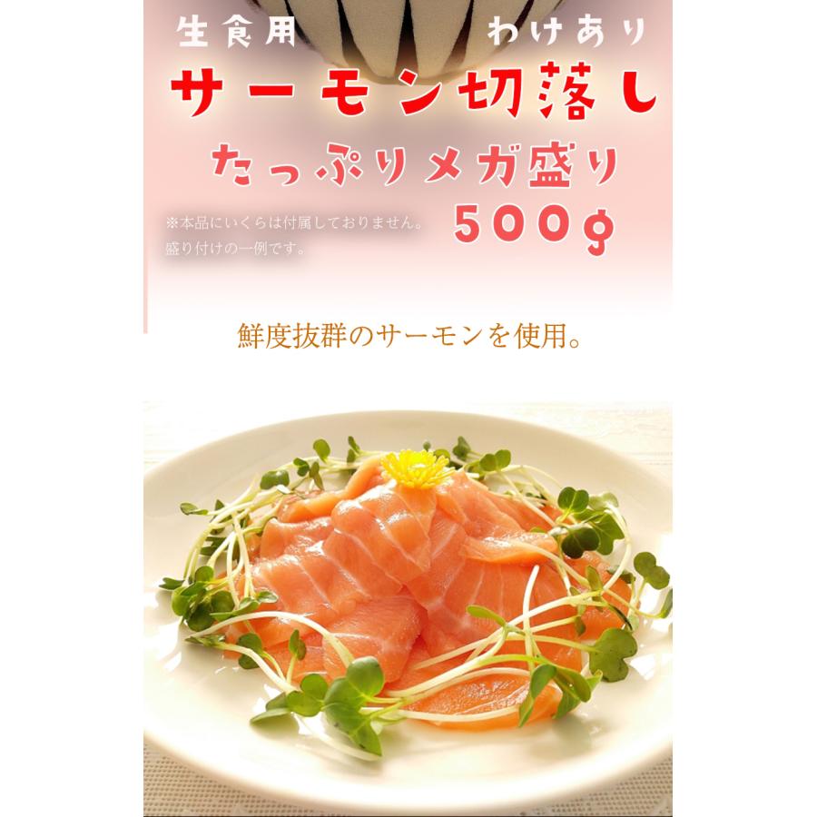 訳あり サーモン 切り落とし 1kg たっぷり メガ盛り 切落し 生食用 海鮮 お試し 在宅 母の日 父の日 敬老 お中元 お歳暮 ギフト