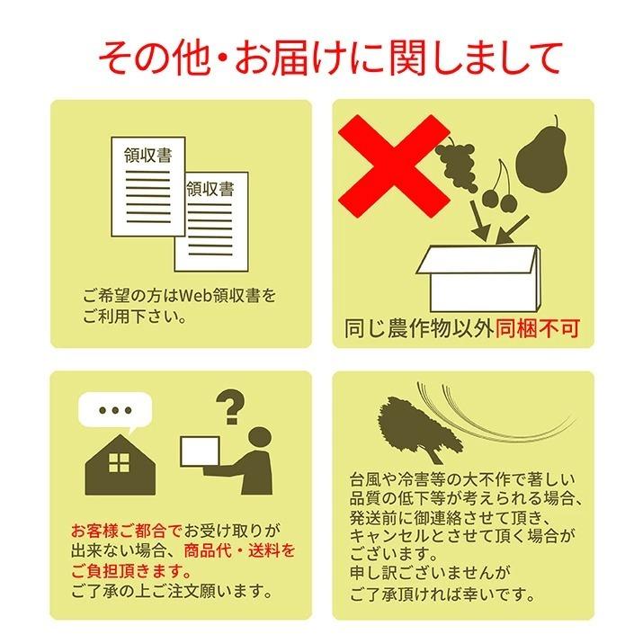 さくらんぼ 佐藤錦 Lサイズ 1kg（500g×2） バラ詰め 山形 特秀品 2024 山形県産 サクランボ 贈答 送料無料