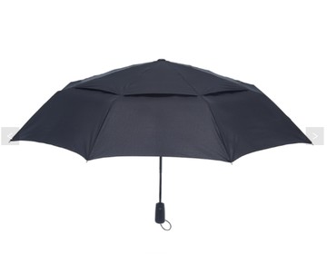 預購 A.Brolly 巨石陣自動傘