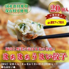 宇都宮餃子　まあまあウマイ餃子20個　保存料不使用