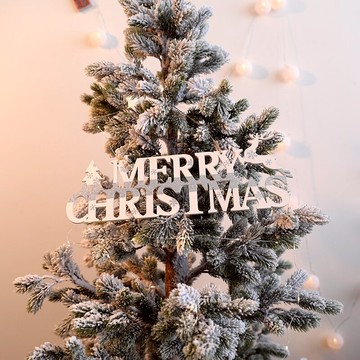 圣誕節裝飾圣誕樹20厘米英文牌木質掛件小樹酒店商場櫥窗裝飾用品