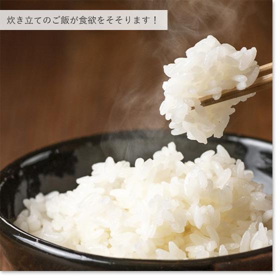 令和５年産　お米 2kg 特別栽培米昔ながらの新潟産こしひかり2kg  (送料別)