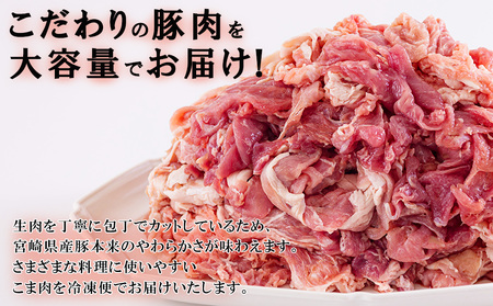 宮崎県産 豚 小間 切れ 2.5kg 250g×10 こま 小分け 豚肉 冷凍 宮崎県産 豚肉 炒め物 豚肉 焼肉 調理 料理 豚汁 カレー 豚丼 大容量 真空 豚肉 手切り カット やわらかい 豚肉 普段使い