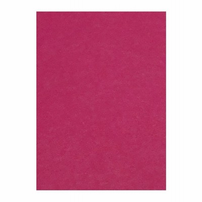 リンテック 色画用紙 ニューカラー 4切判 392×542mm 100枚 ぼたんいろ GO4NCR-325