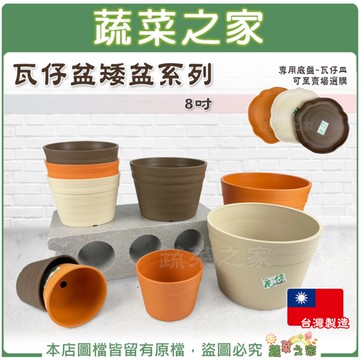 【綠藝家】瓦仔盆矮盆系列-8吋 園藝 盆栽 花盆 種植 園藝用品 圓盆 矮盆 瓦仔盆 園藝用具