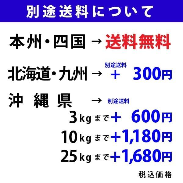 新米入荷 龍の瞳 3kg 令和5年産米 岐阜県産 白米  送料無料 一部地域除く