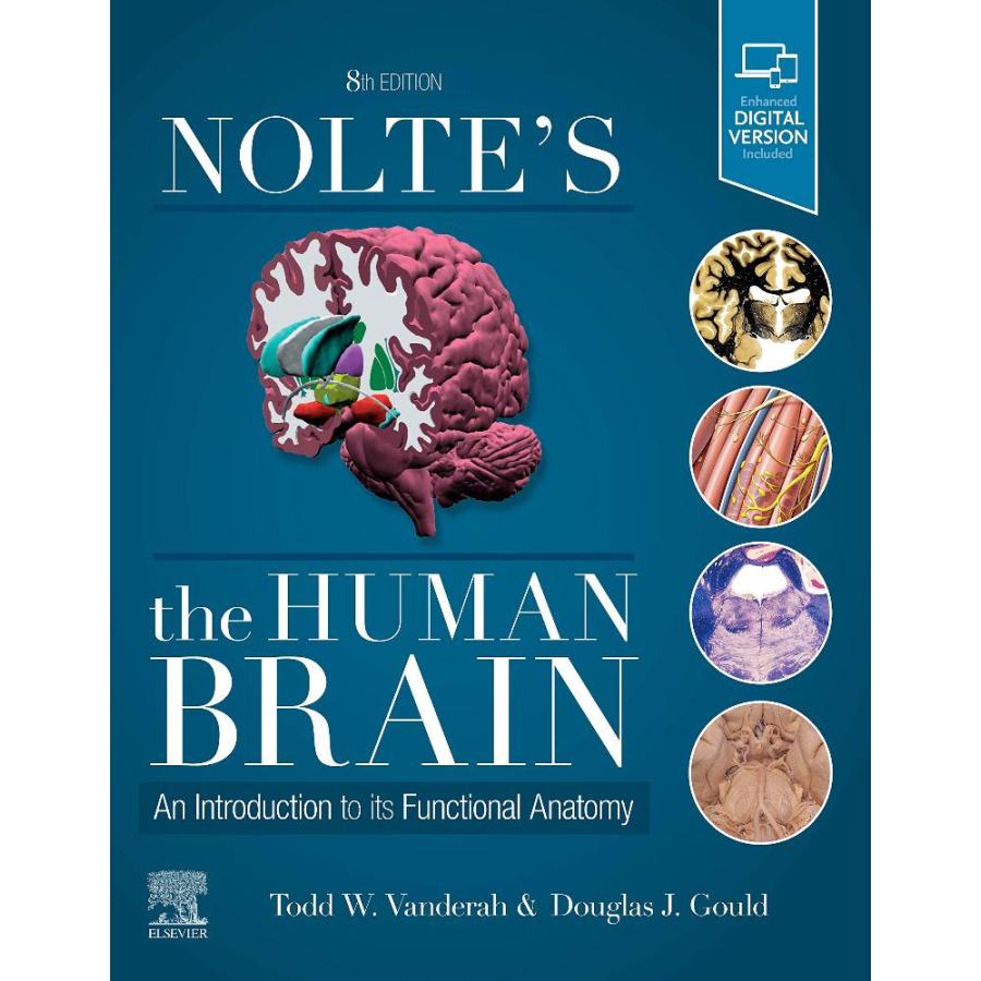 Nolte's The Human Brain: An Introduction to its Functional Anatomy