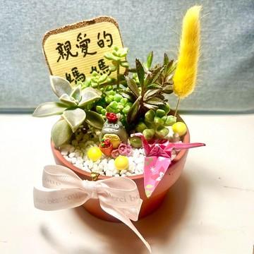 母親節 禮物 生日送禮 龍貓 禮物 多肉組盆 多肉植物 客製化訂單
