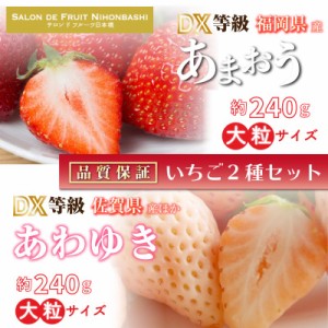 [予約 2024年2月11日-2月14日の納品] バレンタイン あまおう × あわゆき 約250g× DX 大粒 いちご 苺 ギフト バレンタイン 食べ比べ