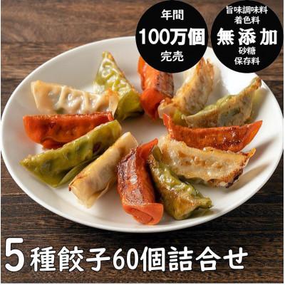 ふるさと納税 秋田市 年間100万個完売!餃子の餃天の