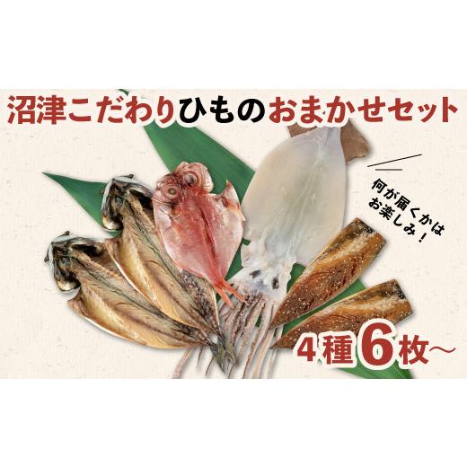 ふるさと納税 静岡県 沼津市 干物 おまかせ セット 4種 6枚 〜 おたのしみ 冷凍 10000円