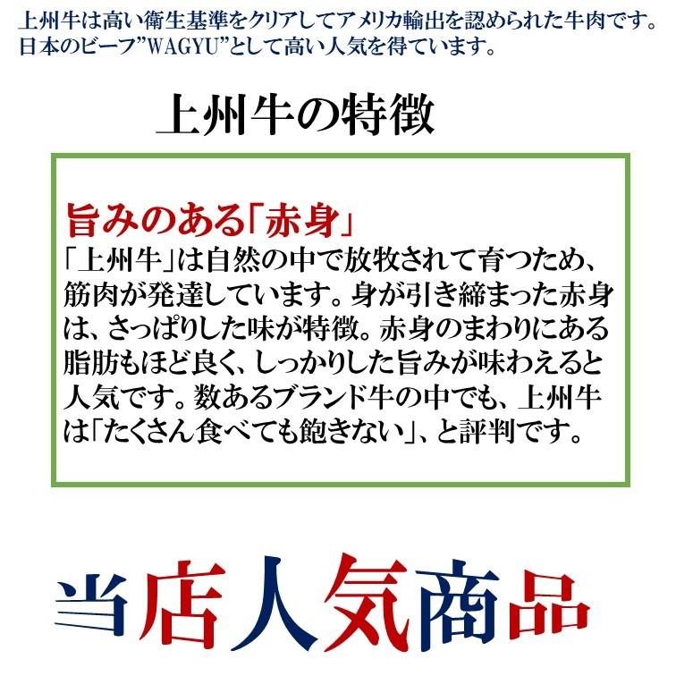 10％OFFクーポン配布中 牛丼 牛丼の具 150g 20食セット 国産 レトルト 惣菜