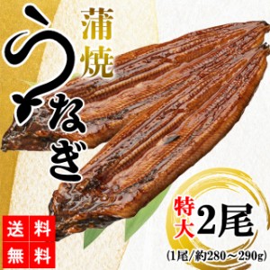 うなぎ蒲焼 鰻蒲焼 2尾 送料無料 特大サイズ 蒲焼 冷凍 土用の丑の日 うなぎ ウナギ 鰻 中国産 メーカー直送 shr-021