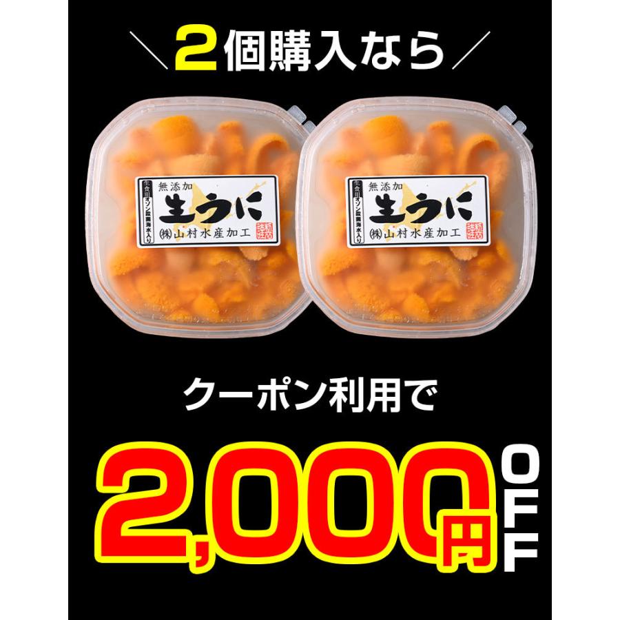 ウニ 塩水 無添加 うに 北海道 送料無料 セット 高級 詰め合わせ