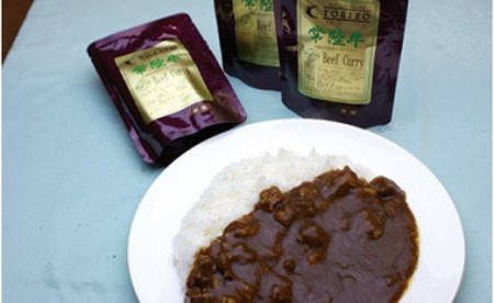 常陸牛 極上カレー 10人前 セット 30種のスパイス 超本格 レトルト食品 カレールー レトルトカレー カレー